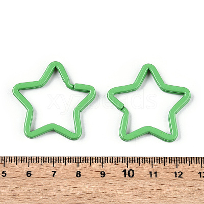 Spray-painted Iron Keychains Clasps IFIN-WH0063-14D-1