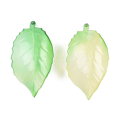 Gradient Color Acrylic Big Pendants OACR-N137-30-1