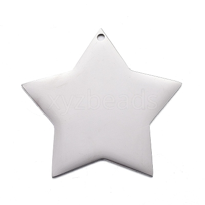 Non-Tarnish 304 Stainless Steel Pendants STAS-F254-07B-P-1