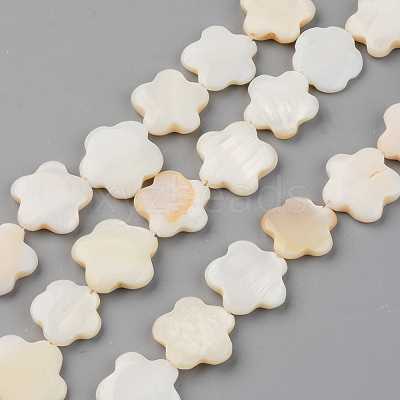 Natural Freshwater Shell Beads Strands SHEL-S276-84-1