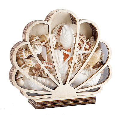 Wood & Acrylic Shell Shape Display Box AJEW-WH0650-32-1