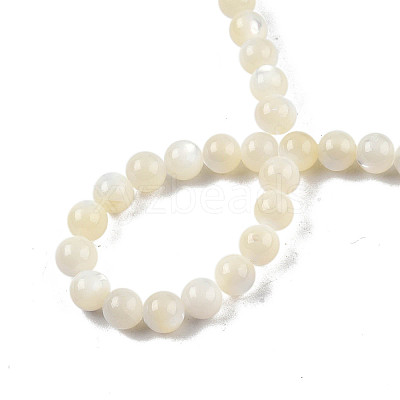 Natural White Shell Bead Strands X-SSHEL-N003-144D-01-1
