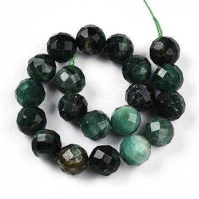 Natural Fuchsite Beads Strands G-S345-10mm-33-1