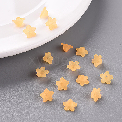 Transparent Acrylic Beads LS-X-PL554-07-1