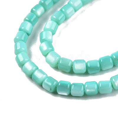 Natural Freshwater Shell Beads Strands SHEL-N003-33-A04-1