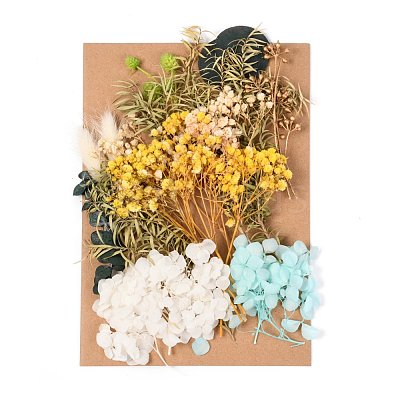 Dried Flower DIY-B018-03-1