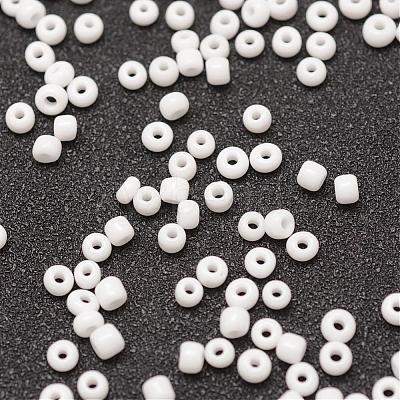 6/0 Glass Seed Beads X-SEED-J014-F6-41-1