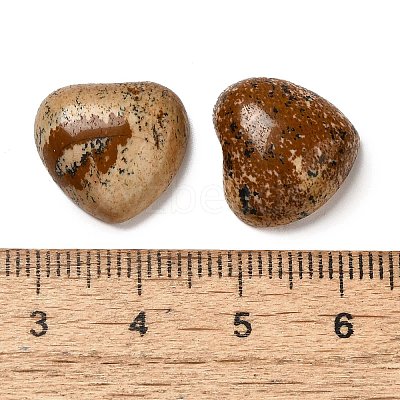 Natural Picture Jasper Cabochons G-F776-02A-17-1