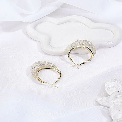 1Pc Zinc Alloy Hoop Earrings EJEW-LP0013-02-1