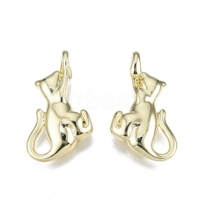 Rack Plating Alloy Pendants PALLOY-N150-62LG-1