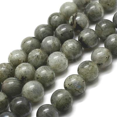 Natural Labradorite Bead Strands G-P256-01-12mm-1