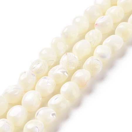 Natural Trochid Shell Beads Strands SSHEL-G023-04A-1