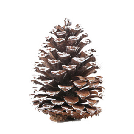 Wood Artificial Pine Cone HULI-PW0002-034B-1