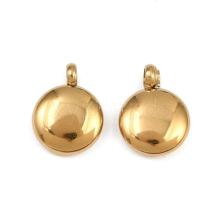 304 Stainless Steel Charms STAS-M017-14A-G-1-1