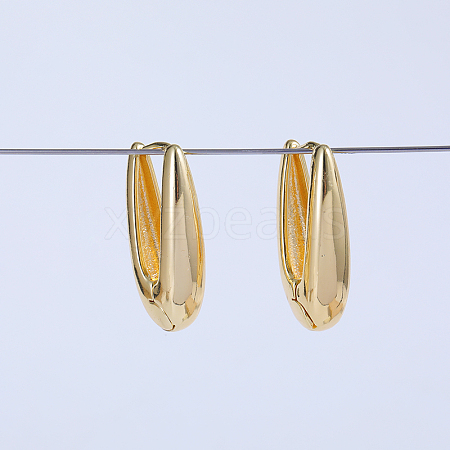 Oval Brass Hoop Earrings WC9098-1