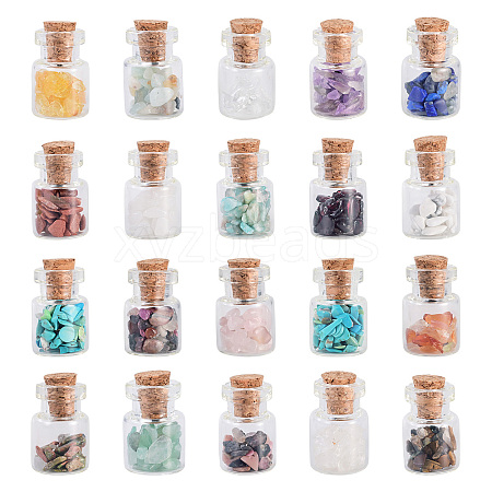 Natural & Synthetic Gemstone Chip Beads Glass Bottles G-KS0001-02-1