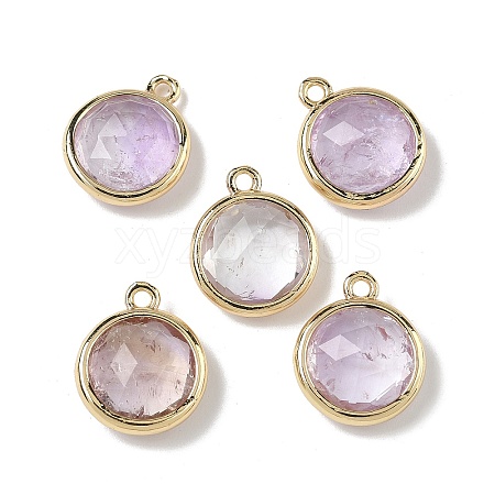 Natural Amethyst Faceted Flat Round Charms G-U028-03G-09-1