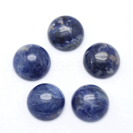 Natural Sodalite Cabochons G-P393-R45-10MM-1