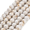 Assembled Synthetic Stone and Trochus Shell Beads Strands X-G-B128-08C-01-1