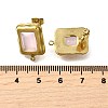 304 Stainless Steel Cubic Zirconia Stud Earring Findings STAS-B087-07C-G-3