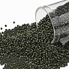 TOHO Round Seed Beads X-SEED-TR15-0617-1