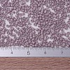 MIYUKI Delica Beads Small SEED-X0054-DBS0875-4