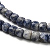 Natural Blue Spot Jasper Beads Strands G-H078-C20-01-4