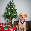 2Pcs 2 Styles Polyester Pet Handkerchi AJEW-CP0008-69B-6
