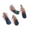 Chicken Feather Costume Accessories FIND-Q046-09-1