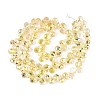 Transparent Glass Beads Strands GLAA-T006-14D-2
