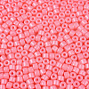 Opaque Baking Paint Glass Seed Beads SEED-T008-02H-3