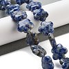 Natural Blue Spot Jasper Beads Strands G-F769-D01-01-2