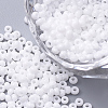 FGB 8/0 Grade A Round Glass Seed Beads X-SEED-N002-A-743-1