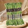 10 Skeins 6-Ply Polyester Embroidery Floss OCOR-CY0004-38K-5