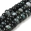 Natural Agate Beads Strands G-H295-C03-08-2