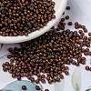 MIYUKI Round Rocailles Beads SEED-G008-RR3761-1