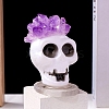 Halloween Theme Natural Amethyst Chips Topped Skull Figurine PW-WG312FD-02-1