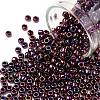 TOHO 8/0 Round Beads SEED-TR08-0503-1