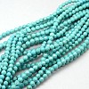 Natural Howlite Round Beads Strands TURQ-L017-12mm-02B-1
