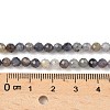 Natural Iolite Beads Strands G-G188-B04-06A-2