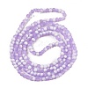 Frosted Crackle Glass Beads Strands GLAA-U001-4mm-M04-3