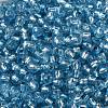 6/0 Glass Seed Beads SEED-T006-04C-06-3