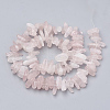 Natural Rose Quartz Beads Strands X-G-S338-17-2