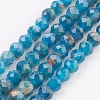 Natural Apatite Beads Strands G-F568-077-2mm-1