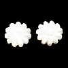Natural Trochid Shell/Trochus Shell Beads SSHEL-R145-01-3