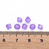 Transparent Acrylic Beads LS-MACR-S373-84-B06-4