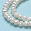Natural Cultured Freshwater Pearl Beads Strands PEAR-F018-04B-01-4