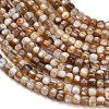 Natural Freshwater Shell Beads Strands SH-CBA93AD-03-2