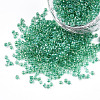 12/0 Glass Seed Beads SEED-A016-2mm-216-1