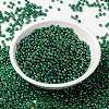 MIYUKI Round Rocailles Beads X-SEED-G008-RR0354-2